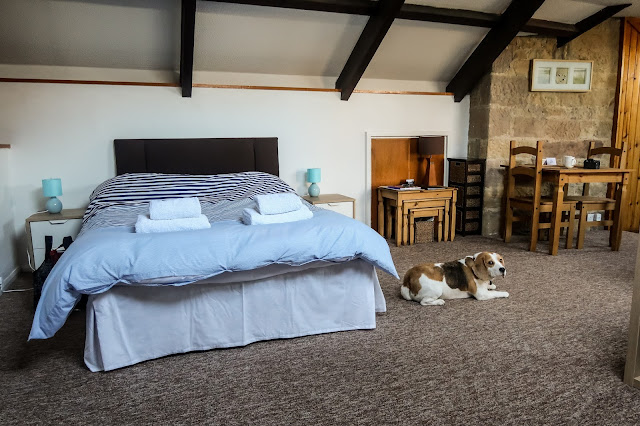 Dog friendly accommodation at The apartment, cross house cottages, Warkworth, Northumberland