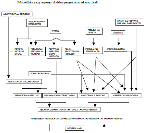 skema Faktor yang berpengaruh dalam pengendalian tekanan darah, asupan garam, stres, jumlah nefron berkurang, perubahan genetik, obesitas
