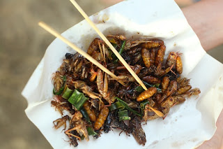 Insect Snacks Market Analysis