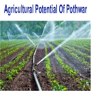 File:Agricultural Potential of Pothwar Essay.svg