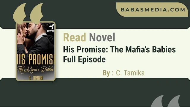Cover His Promise: The Mafia's Babies Novel By C. Tamika
