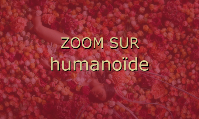"zoom sur Humanoïde" écrit sur fond coloré sur photo introduction du film dans un cyberespace transattentionnel