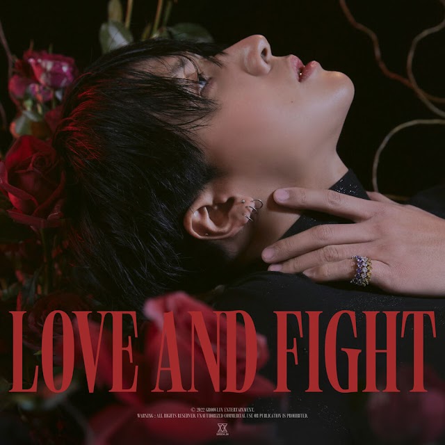 Ravi regresa con Love and Fight