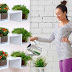 Interior Bookshelf-Inspired Planters