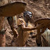 Katanga : les creuseurs de Kamatanda s’accrochent à "leur" mine malgré tout 