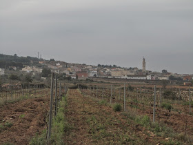 La Bisbal del Penedès a Santes Creus - Camí de Sant Jaume de Compostela; Masllorenç