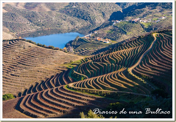 Douro-41