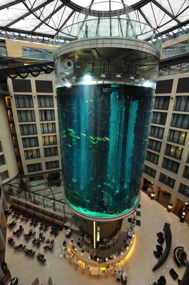 Aquadom - World's Largest Cylindrical Aquarium