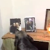 Ραγίζει καρδιές το βίντεο με τη σκυλίτσα που θρηνεί για τους δικούς της...