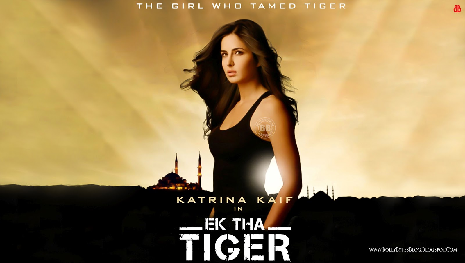 Free Wallpaper Ek Tha Tiger  Free Download Wallpaper 