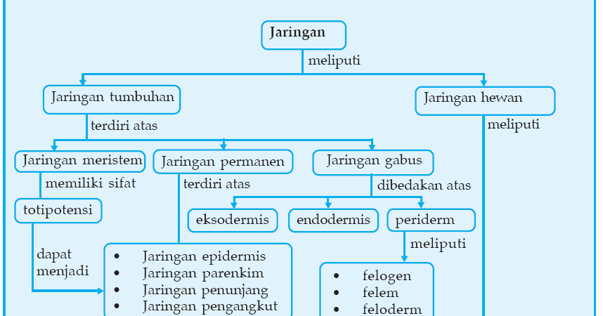 Peta Konsep Jaringan  Hewan  G Huntz