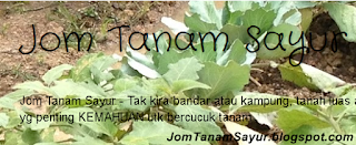 jom tanam sayur