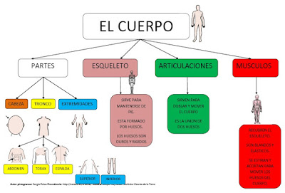 mapas el cuerpo