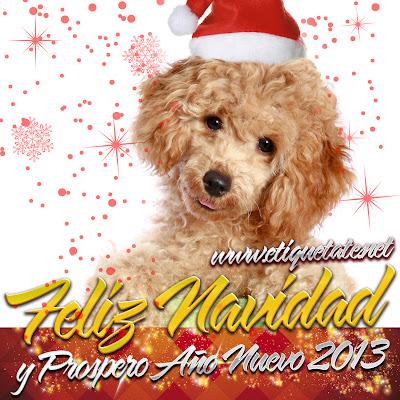 Cachorritos Navideños 2013 para descargar Gratis