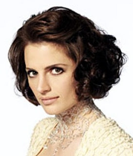 Stana Katic Hairstyle on Stana Katic Hairstyles