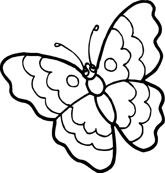 Coloring Pages Flowers And Butterflies. coloring pages of flowers and