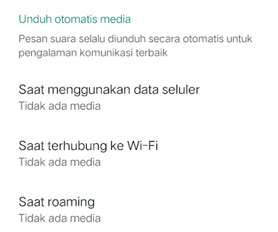 Cara Mudah Mematikan Fitur Download Otomatis di Whatsapp iPhone dan Android