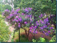 Brazil 440