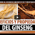 Beneficios y propiedades del ginseng