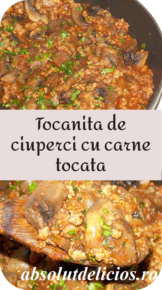Vidner skål frokost Absolut Delicios: TOCANITA DE CIUPERCI CU CARNE TOCATA