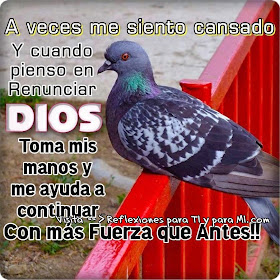 A veces, me siento cansad@........ A veces siento que lo que estoy viviendo es Muy Difícil de vivir, .... las fuerzas se me van, el desaliento llega a mí... Siento que quiero renunciar, que el cansancio me aparta de los demás, la rutina visita mi vida, nadie reconoce el esfuerzo que hago, siento mucha impotencia, tristeza y soledad.