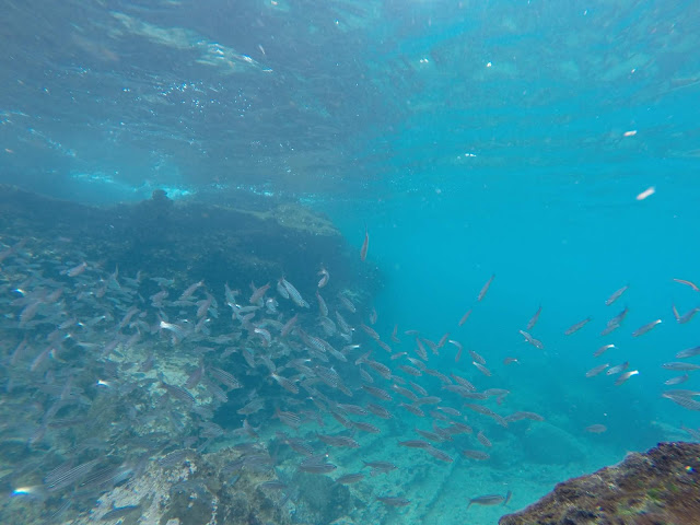 Snorkel en San Bartolomé, Galápagos