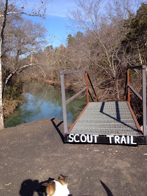 Scout Trail Spadra Creek Nature Trail, Clarksville, Arkansas by Johnnie Chamberlin
