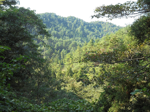 寂れた道をだいぶ登りました