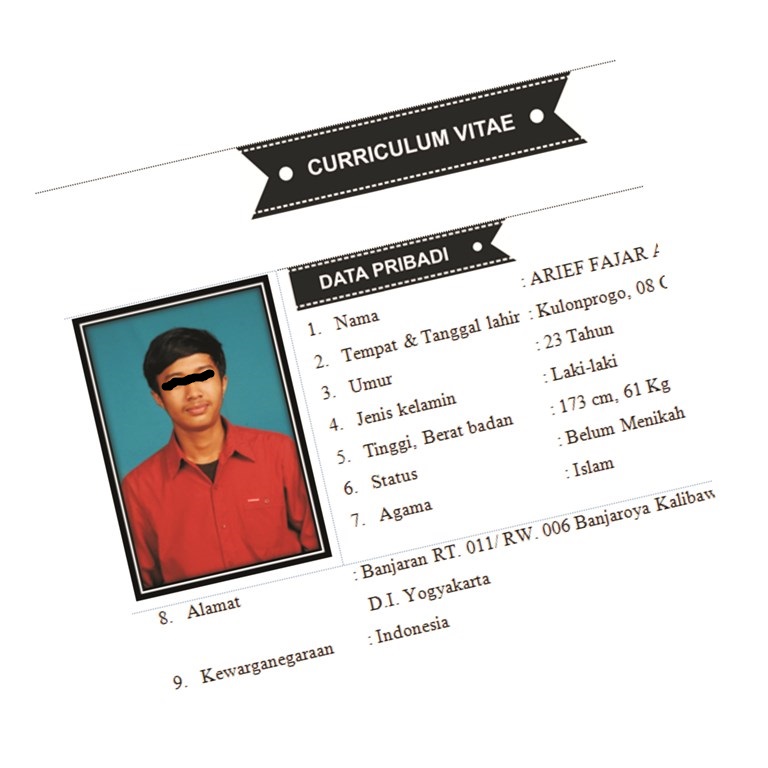 Contoh Curriculum Vitae Terbaru  ariefpedia