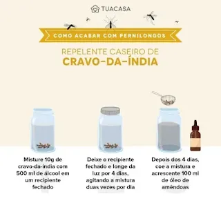 Como Acabar com Mosquitos e Pernilongos usando Ingredientes que você Tem em Casa