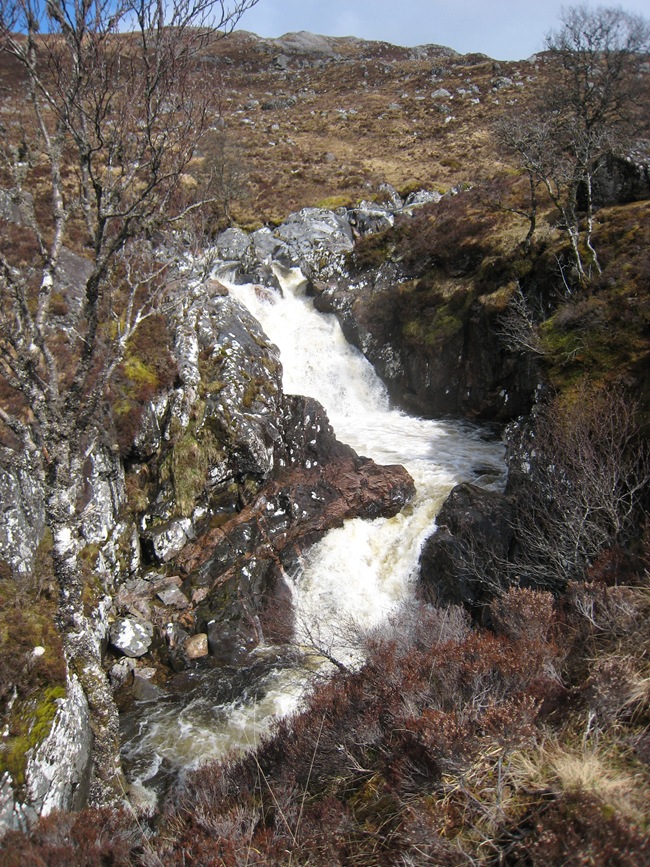 DOG FALLS