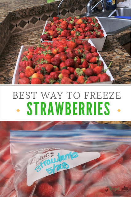 Best Way to Freeze Fresh Strawberries for Use Year Round