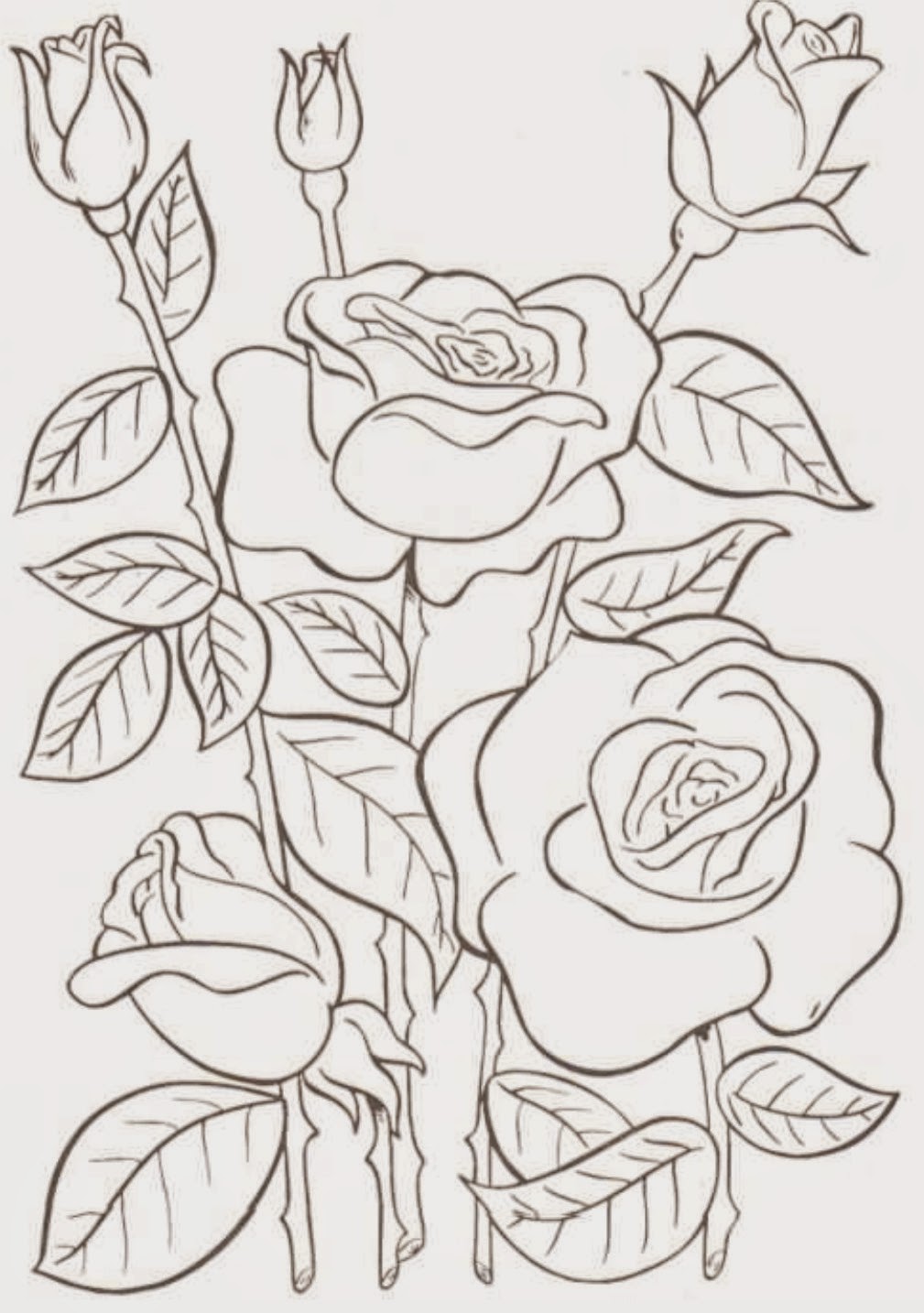 Download Coloring Pages: Flower Free Printable Coloring Pages