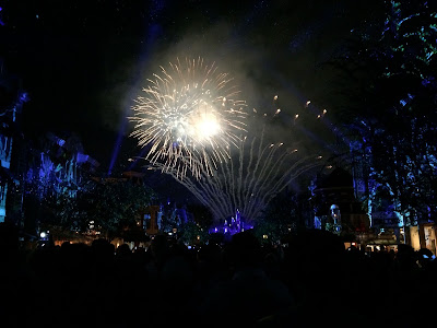 DisneylandFireworks