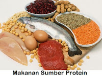 http://manfaatnyasehat.blogspot.com/2013/06/sumber-protein.html