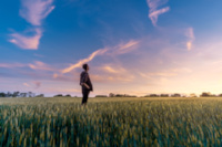 green-field-crops-agriculture-farm