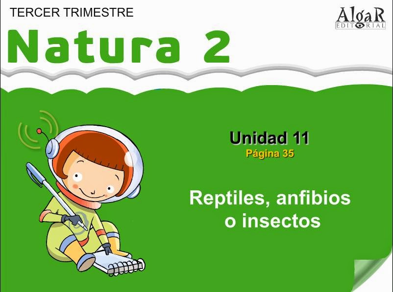  reptiles, anfibios e insectos