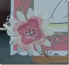 P1070282_resize