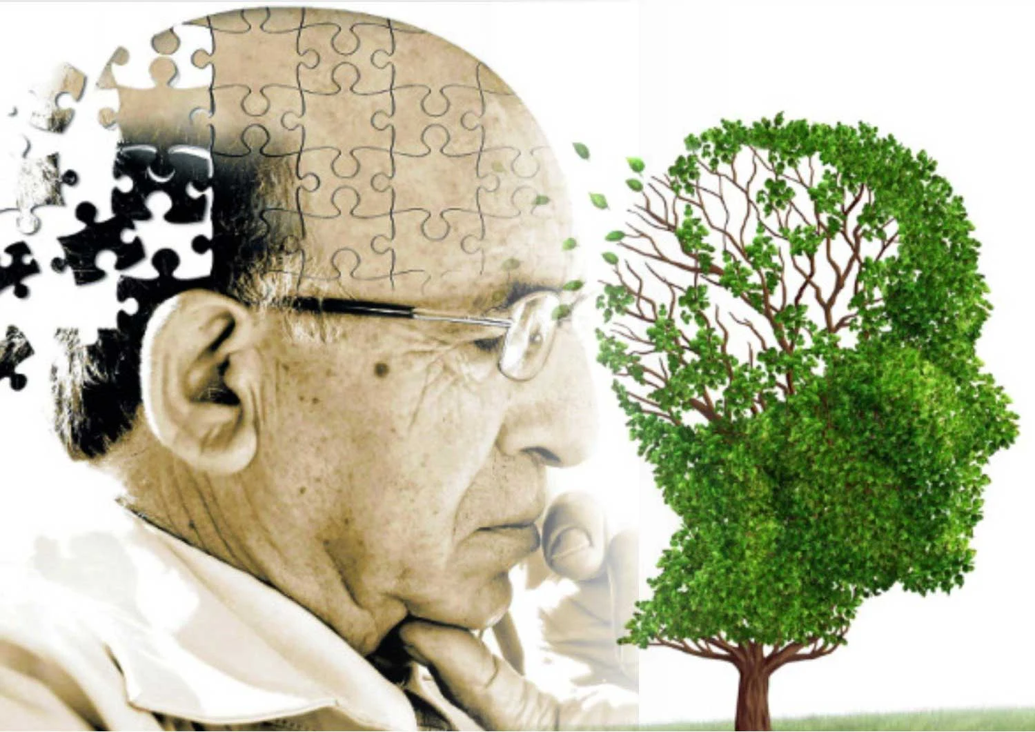 Façons inattendues de prévenir la maladie d'Alzheimer