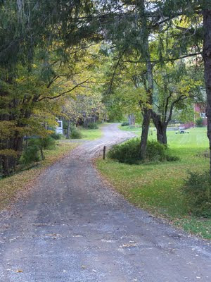 A quiet road at the Menla retreat