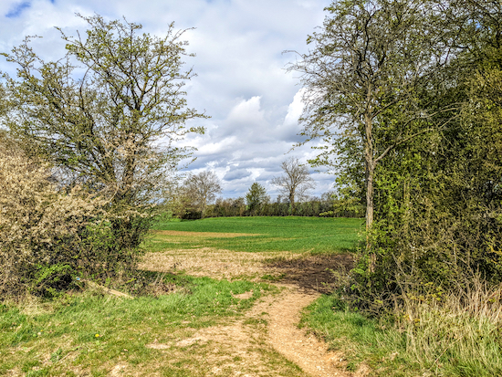 Turn right at the end of the woodland on Wymondley bridleway 22