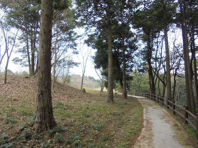 弥生の森の遊歩道