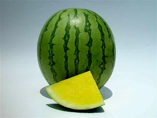 yellow watermelon