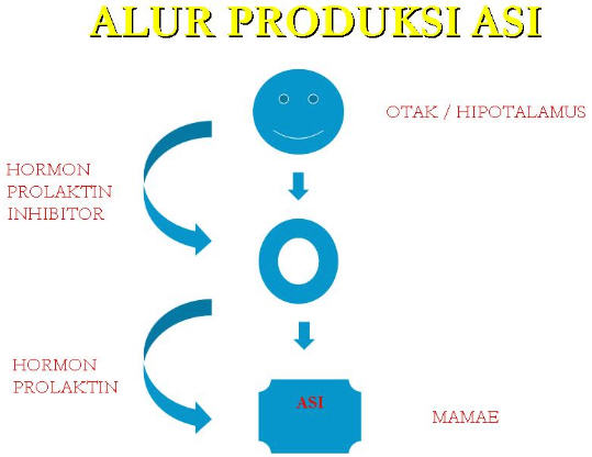 Contoh Kuesioner Asi Eksklusif Pendidikan - Contoh 36