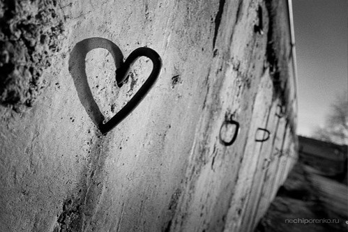 black and white photography love heart