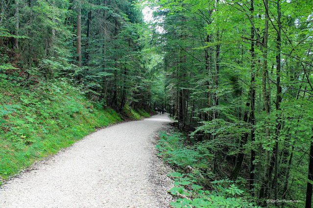 geology travel Germany Koln Cologne Hamburg St. Nikolai Berlin Neuschwanstein Castle copyright RocDocTravel.com