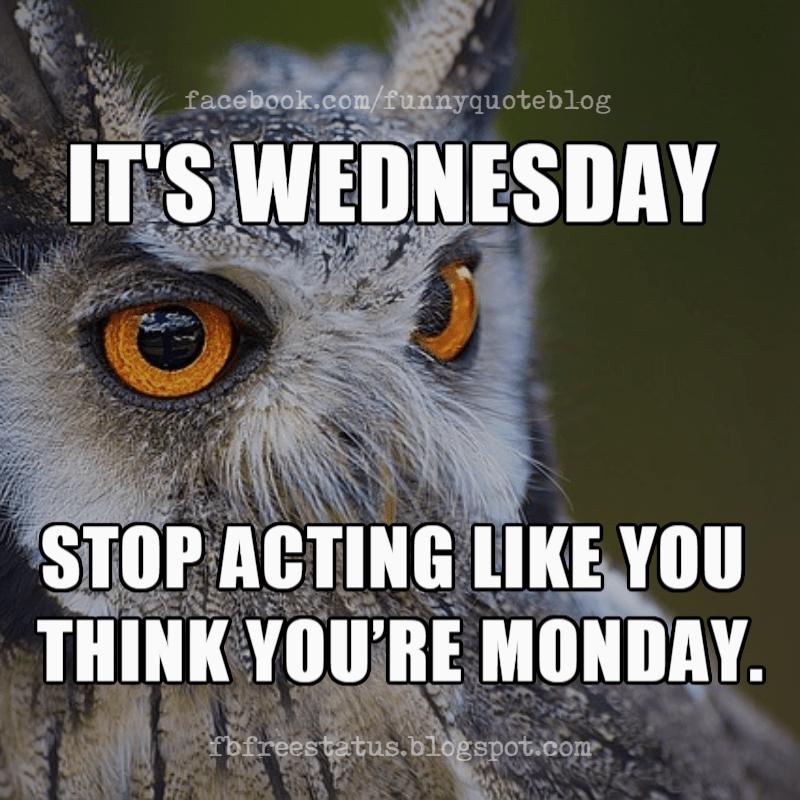 Wednesday Memes, It's Wednesday stop acting like you think you're Monday.