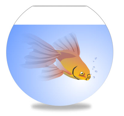 Belajar IT Blog s Membuat Ikan  dalam Aquarium