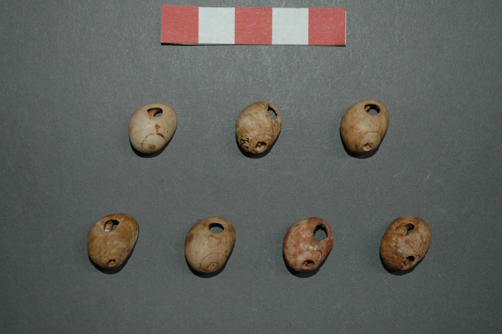 Magdalenian ornaments from Isturitz cave (Spain)