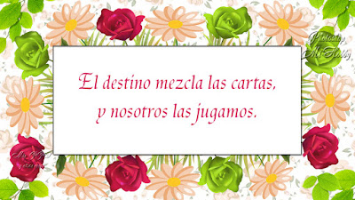 Frases  - Mensajes